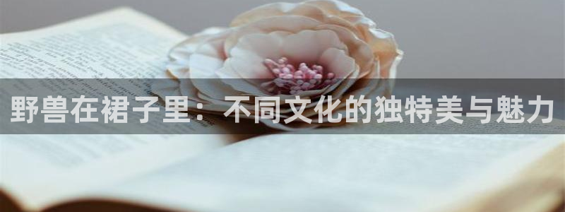 香蕉文化漫画入口页面
