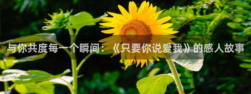 香蕉文化漫画免费
