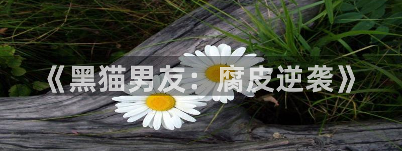 香蕉漫画免费漫画弹窗入口