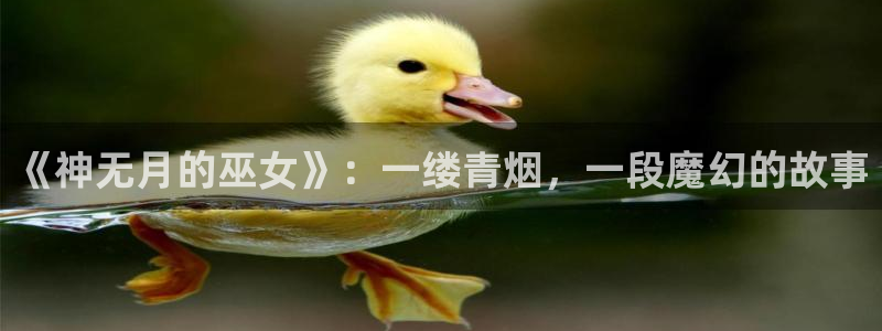 香蕉漫画网络