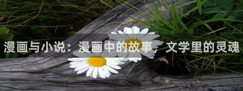 香蕉漫画免费网站：漫画与小说：漫画中的故事，文学里的灵魂