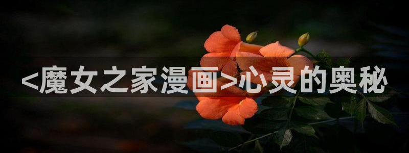 香蕉漫画展