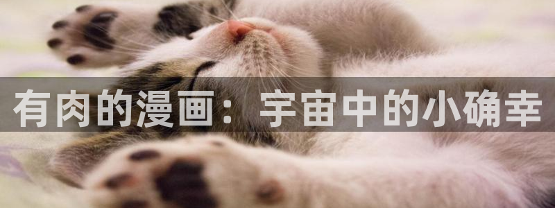香蕉漫画在线免费看