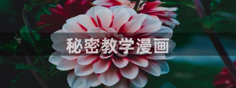香蕉漫画书免费阅读方法