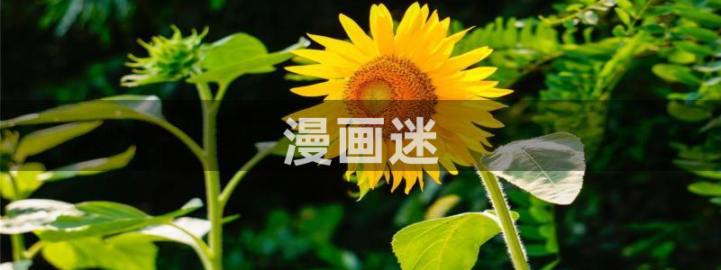 香蕉漫画破解版