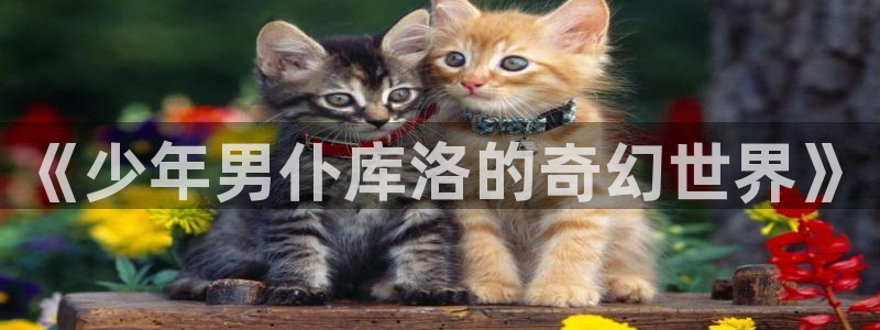香蕉漫画在线免费阅读