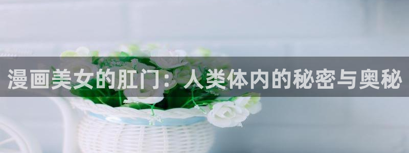 香蕉文化漫画书阅读下拉式2024