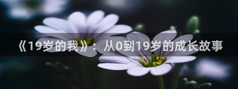 香蕉漫画-免费漫画：《19岁的我》：从0到19岁的成长故事